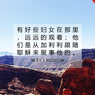 Picture 07 - 马 太 福 音 27:55 CUVS - 有 好 些 妇 女 在 那 里 ， 远 远 的 - Bible Verse Picture