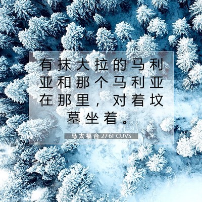 Picture 07 - 马 太 福 音 27:61 CUVS - 有 抹 大 拉 的 马 利 亚 和 那 个 马 - Bible Verse Picture