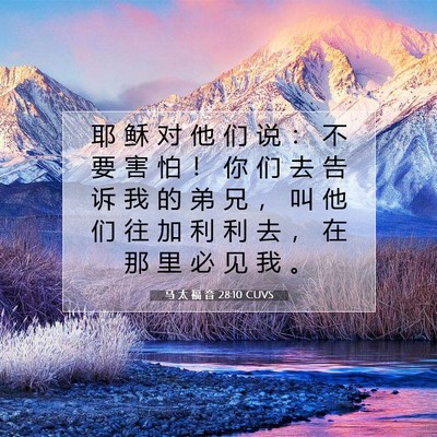 Picture 07 - 马 太 福 音 28:10 CUVS - 耶 稣 对 他 们 说 ： 不 要 害 怕 ！ - Bible Verse Picture