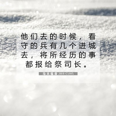 Picture 07 - 马 太 福 音 28:11 CUVS - 他 们 去 的 时 候 ， 看 守 的 兵 有 - Bible Verse Picture