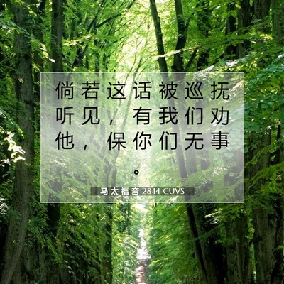 Picture 07 - 马 太 福 音 28:14 CUVS - 倘 若 这 话 被 巡 抚 听 见 ， 有 我 - Bible Verse Picture