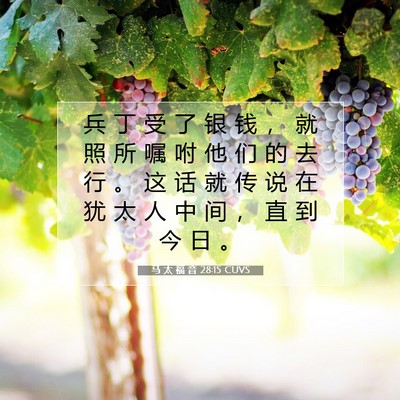 Picture 07 - 马 太 福 音 28:15 CUVS - 兵 丁 受 了 银 钱 ， 就 照 所 嘱 咐 - Bible Verse Picture