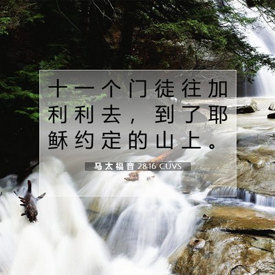 Picture 07 - 马 太 福 音 28:16 CUVS - 十 一 个 门 徒 往 加 利 利 去 ， 到 - Bible Verse Picture