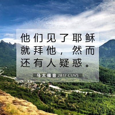 Picture 07 - 马 太 福 音 28:17 CUVS - 他 们 见 了 耶 稣 就 拜 他 ， 然 而 - Bible Verse Picture