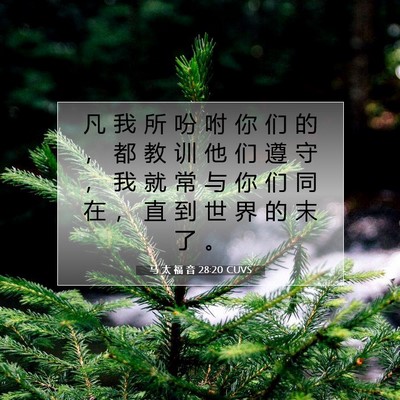 Picture 07 - 马 太 福 音 28:20 CUVS - 凡 我 所 吩 咐 你 们 的 ， 都 教 训 - Bible Verse Picture