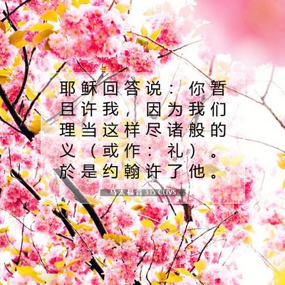 Picture 07 - 马 太 福 音 3:15 CUVS - 耶 稣 回 答 说 ： 你 暂 且 许 我 ， - Bible Verse Picture