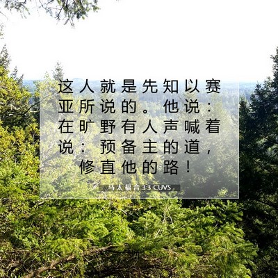 Picture 07 - 马 太 福 音 3:3 CUVS - 这 人 就 是 先 知 以 赛 亚 所 说 的 - Bible Verse Picture