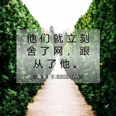 Picture 07 - 马 太 福 音 4:20 CUVS - 他 们 就 立 刻 舍 了 网 ， 跟 从 了 - Bible Verse Picture