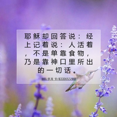Picture 07 - 马 太 福 音 4:4 CUVS - 耶 稣 却 回 答 说 ： 经 上 记 着 说 - Bible Verse Picture