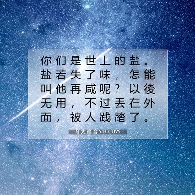 Picture 07 - 马 太 福 音 5:13 CUVS - 你 们 是 世 上 的 盐 。 盐 若 失 了 - Bible Verse Picture