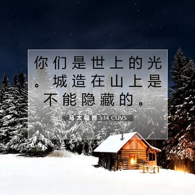 Picture 07 - 马 太 福 音 5:14 CUVS - 你 们 是 世 上 的 光 。 城 造 在 山 - Bible Verse Picture