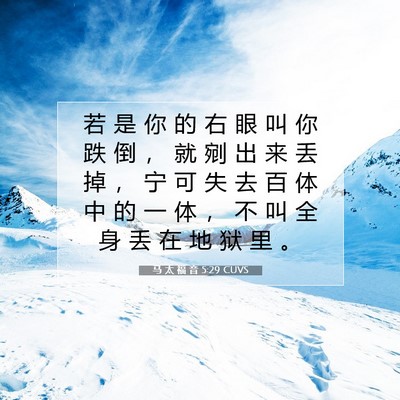 Picture 07 - 马 太 福 音 5:29 CUVS - 若 是 你 的 右 眼 叫 你 跌 倒 ， 就 - Bible Verse Picture