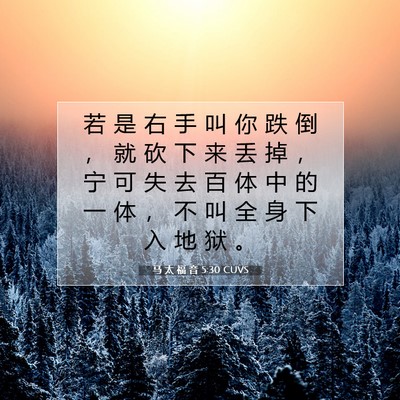 Picture 07 - 马 太 福 音 5:30 CUVS - 若 是 右 手 叫 你 跌 倒 ， 就 砍 下 - Bible Verse Picture