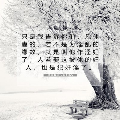 Picture 07 - 马 太 福 音 5:32 CUVS - 只 是 我 告 诉 你 们 ， 凡 休 妻 的 - Bible Verse Picture