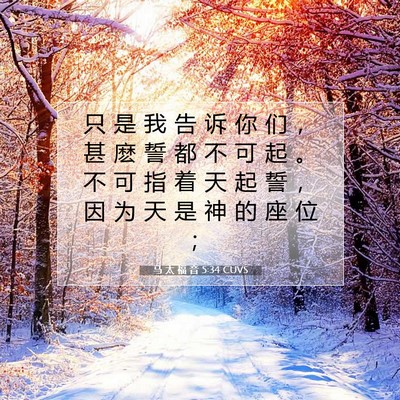 Picture 07 - 马 太 福 音 5:34 CUVS - 只 是 我 告 诉 你 们 ， 甚 麽 誓 都 - Bible Verse Picture