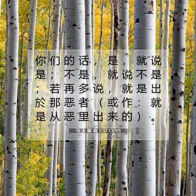 Picture 07 - 马 太 福 音 5:37 CUVS - 你 们 的 话 ， 是 ， 就 说 是 ； 不 - Bible Verse Picture