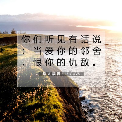 Picture 07 - 马 太 福 音 5:43 CUVS - 你 们 听 见 有 话 说 ： 当 爱 你 的 - Bible Verse Picture