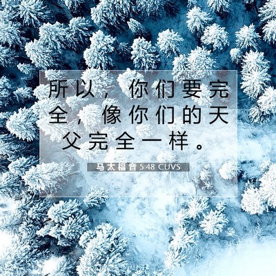 Picture 07 - 马 太 福 音 5:48 CUVS - 所 以 ， 你 们 要 完 全 ， 像 你 们 - Bible Verse Picture