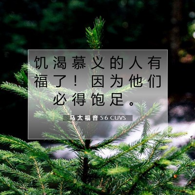 Picture 07 - 马 太 福 音 5:6 CUVS - 饥 渴 慕 义 的 人 有 福 了 ！ 因 为 - Bible Verse Picture