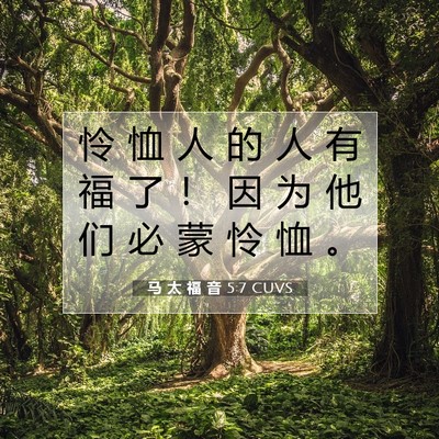 Picture 07 - 马 太 福 音 5:7 CUVS - 怜 恤 人 的 人 有 福 了 ！ 因 为 他 - Bible Verse Picture