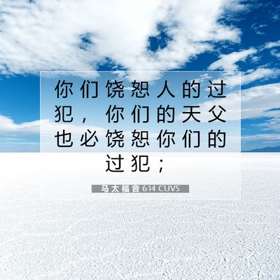 Picture 07 - 马 太 福 音 6:14 CUVS - 你 们 饶 恕 人 的 过 犯 ， 你 们 的 - Bible Verse Picture