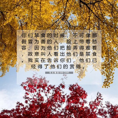 Picture 07 - 马 太 福 音 6:16 CUVS - 你 们 禁 食 的 时 候 ， 不 可 像 那 - Bible Verse Picture