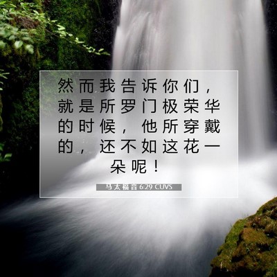 Picture 07 - 马 太 福 音 6:29 CUVS - 然 而 我 告 诉 你 们 ， 就 是 所 罗 - Bible Verse Picture