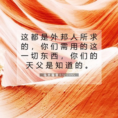 Picture 07 - 马 太 福 音 6:32 CUVS - 这 都 是 外 邦 人 所 求 的 ， 你 们 - Bible Verse Picture