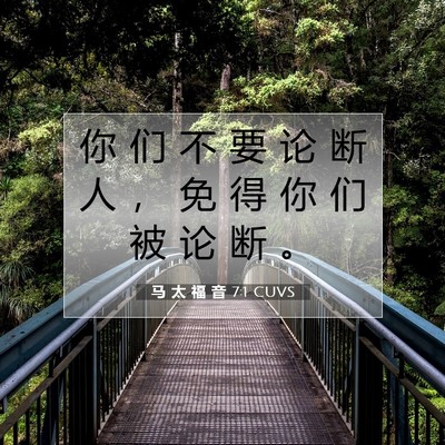 Picture 07 - 马 太 福 音 7:1 CUVS - 你 们 不 要 论 断 人 ， 免 得 你 们 - Bible Verse Picture