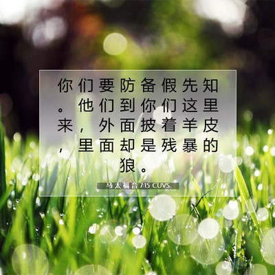 Picture 07 - 马 太 福 音 7:15 CUVS - 你 们 要 防 备 假 先 知 。 他 们 到 - Bible Verse Picture