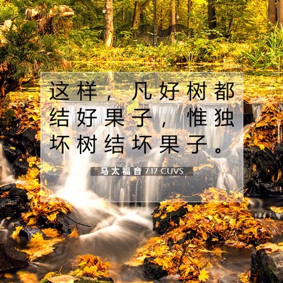 Picture 07 - 马 太 福 音 7:17 CUVS - 这 样 ， 凡 好 树 都 结 好 果 子 ， - Bible Verse Picture