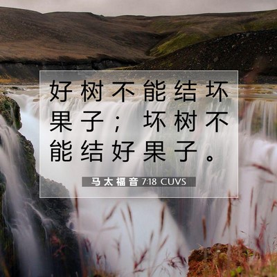 Picture 07 - 马 太 福 音 7:18 CUVS - 好 树 不 能 结 坏 果 子 ； 坏 树 不 - Bible Verse Picture