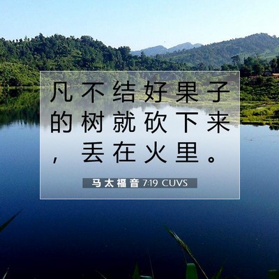 Picture 07 - 马 太 福 音 7:19 CUVS - 凡 不 结 好 果 子 的 树 就 砍 下 来 - Bible Verse Picture