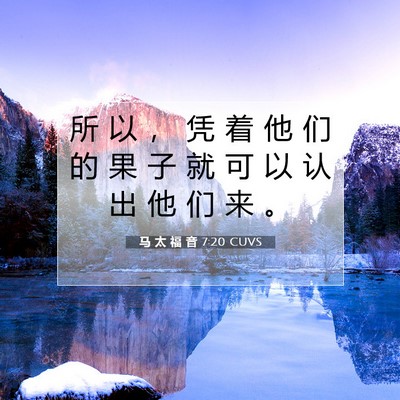 Picture 07 - 马 太 福 音 7:20 CUVS - 所 以 ， 凭 着 他 们 的 果 子 就 可 - Bible Verse Picture