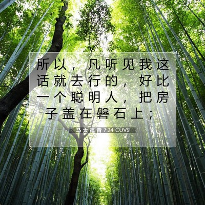 Picture 07 - 马 太 福 音 7:24 CUVS - 所 以 ， 凡 听 见 我 这 话 就 去 行 - Bible Verse Picture