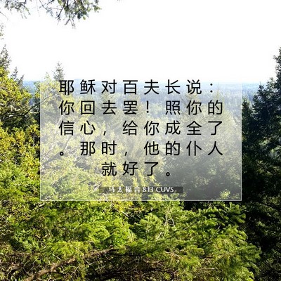 Picture 07 - 马 太 福 音 8:13 CUVS - 耶 稣 对 百 夫 长 说 ： 你 回 去 罢 - Bible Verse Picture