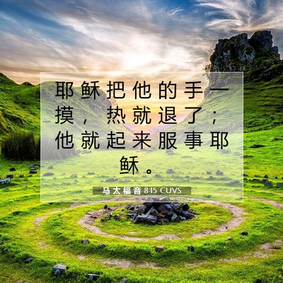 Picture 07 - 马 太 福 音 8:15 CUVS - 耶 稣 把 他 的 手 一 摸 ， 热 就 退 - Bible Verse Picture