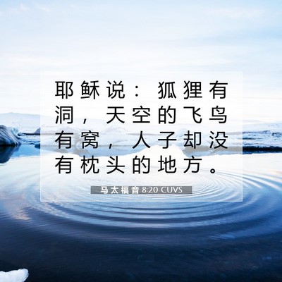 Picture 07 - 马 太 福 音 8:20 CUVS - 耶 稣 说 ： 狐 狸 有 洞 ， 天 空 的 - Bible Verse Picture