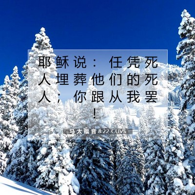 Picture 07 - 马 太 福 音 8:22 CUVS - 耶 稣 说 ： 任 凭 死 人 埋 葬 他 们 - Bible Verse Picture
