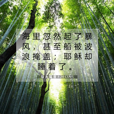 Picture 07 - 马 太 福 音 8:24 CUVS - 海 里 忽 然 起 了 暴 风 ， 甚 至 船 - Bible Verse Picture