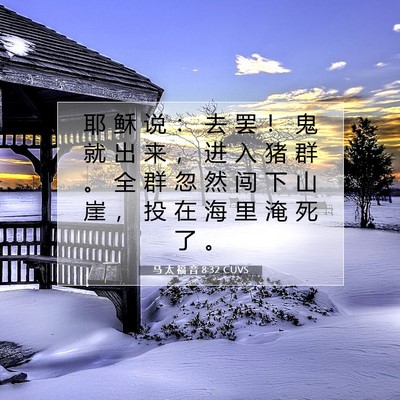 Picture 07 - 马 太 福 音 8:32 CUVS - 耶 稣 说 ： 去 罢 ！ 鬼 就 出 来 ， - Bible Verse Picture