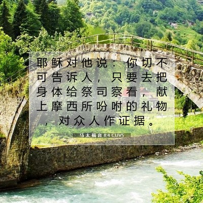 Picture 07 - 马 太 福 音 8:4 CUVS - 耶 稣 对 他 说 ： 你 切 不 可 告 诉 - Bible Verse Picture