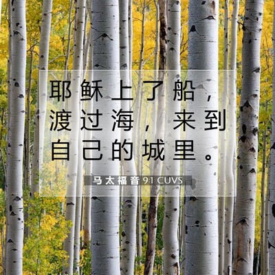 Picture 07 - 马 太 福 音 9:1 CUVS - 耶 稣 上 了 船 ， 渡 过 海 ， 来 到 - Bible Verse Picture