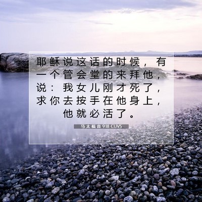 Picture 07 - 马 太 福 音 9:18 CUVS - 耶 稣 说 这 话 的 时 候 ， 有 一 个 - Bible Verse Picture