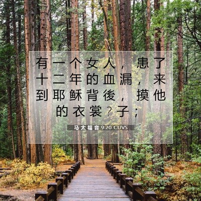 Picture 07 - 马 太 福 音 9:20 CUVS - 有 一 个 女 人 ， 患 了 十 二 年 的 - Bible Verse Picture