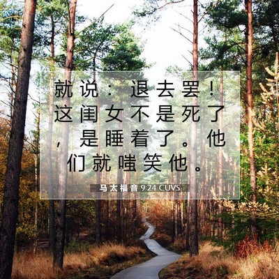 Picture 07 - 马 太 福 音 9:24 CUVS - 就 说 ： 退 去 罢 ！ 这 闺 女 不 是 - Bible Verse Picture