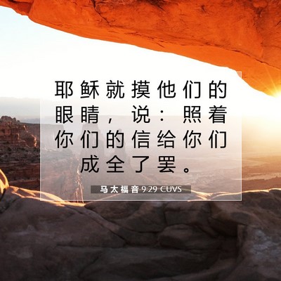 Picture 07 - 马 太 福 音 9:29 CUVS - 耶 稣 就 摸 他 们 的 眼 睛 ， 说 ： - Bible Verse Picture