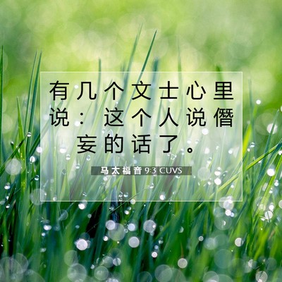 Picture 07 - 马 太 福 音 9:3 CUVS - 有 几 个 文 士 心 里 说 ： 这 个 人 - Bible Verse Picture