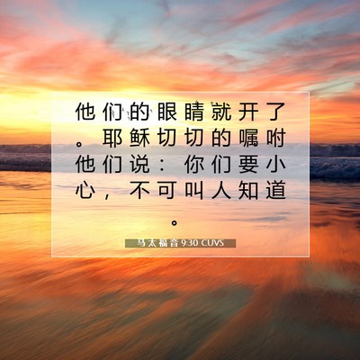 Picture 07 - 马 太 福 音 9:30 CUVS - 他 们 的 眼 睛 就 开 了 。 耶 稣 切 - Bible Verse Picture