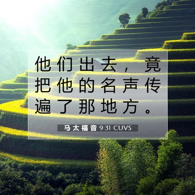 Picture 07 - 马 太 福 音 9:31 CUVS - 他 们 出 去 ， 竟 把 他 的 名 声 传 - Bible Verse Picture
